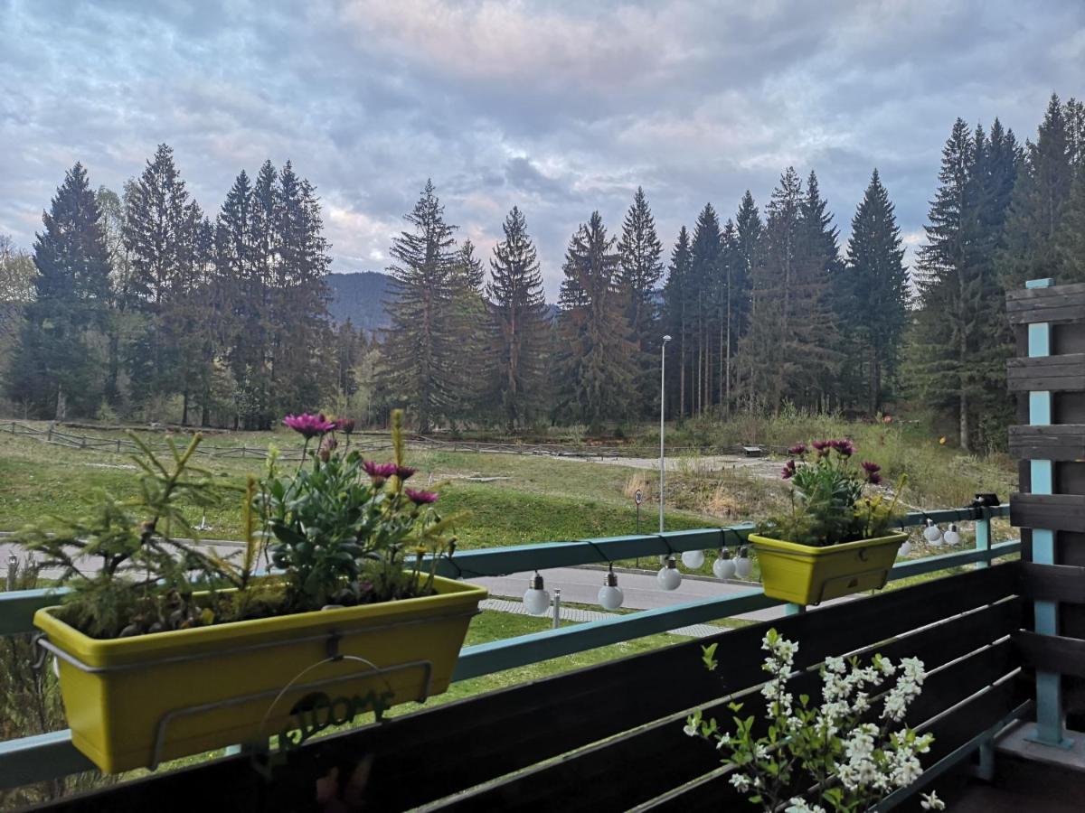 The Evergreen Nest - Silver Mountain Poiana Brasov Ngoại thất bức ảnh