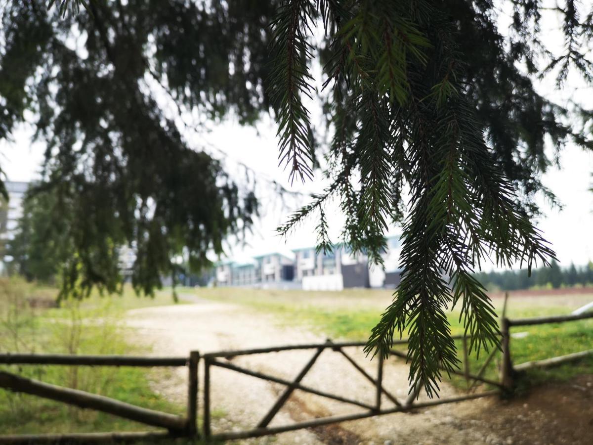The Evergreen Nest - Silver Mountain Poiana Brasov Ngoại thất bức ảnh