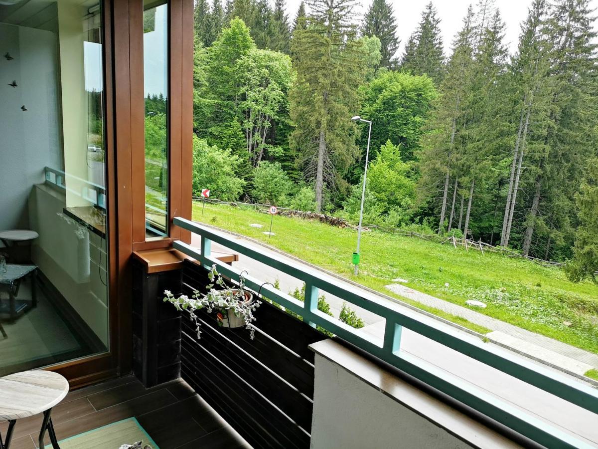 The Evergreen Nest - Silver Mountain Poiana Brasov Ngoại thất bức ảnh