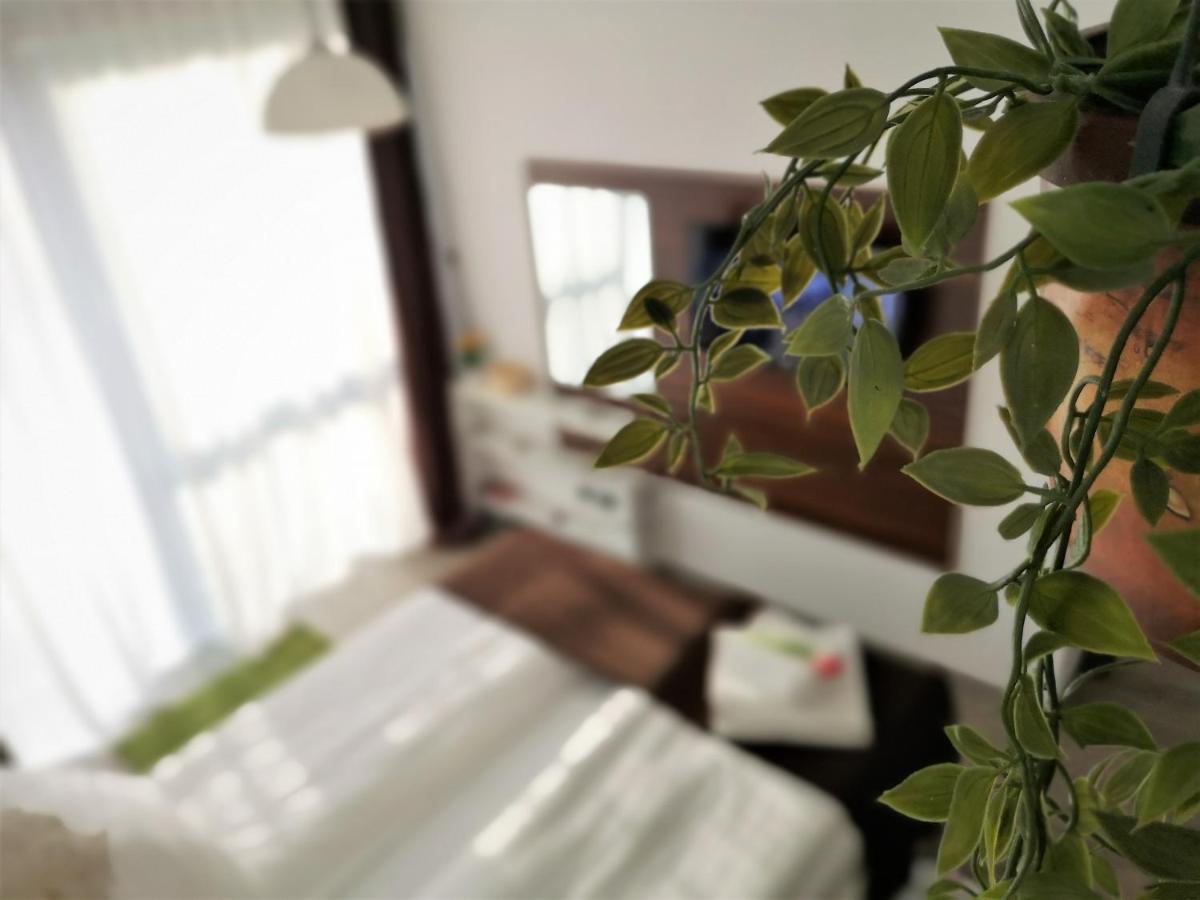 The Evergreen Nest - Silver Mountain Poiana Brasov Ngoại thất bức ảnh