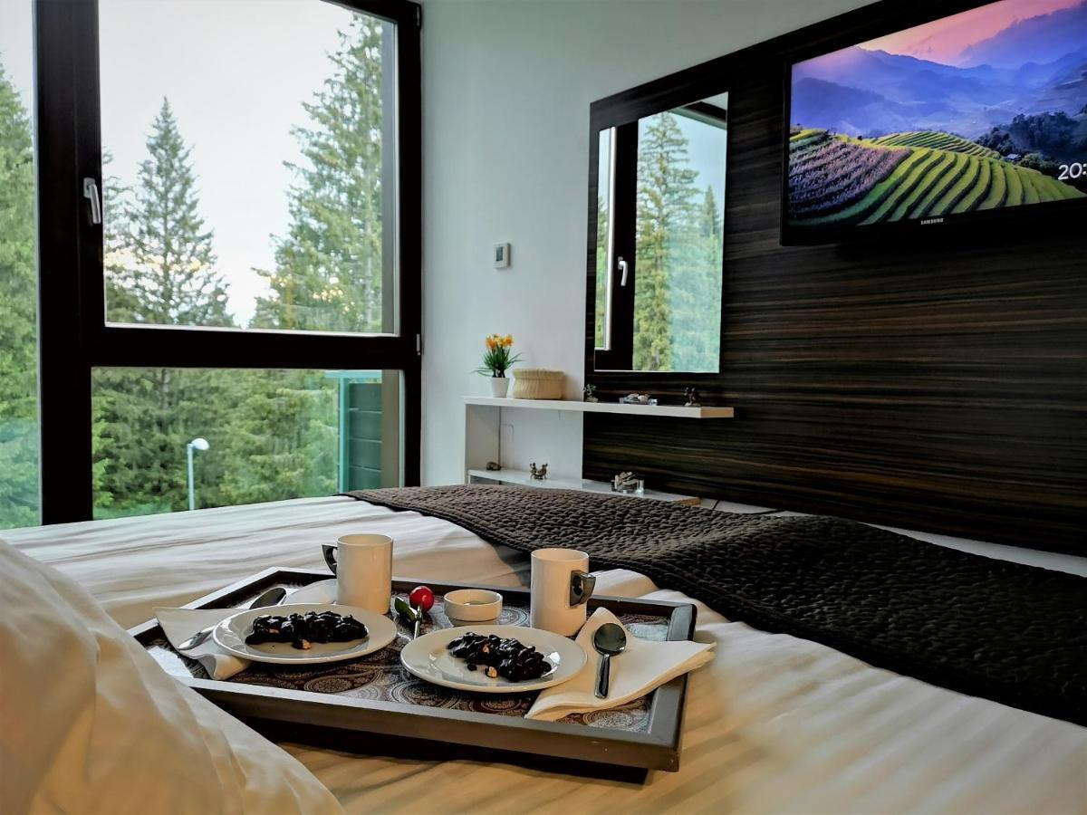 The Evergreen Nest - Silver Mountain Poiana Brasov Ngoại thất bức ảnh
