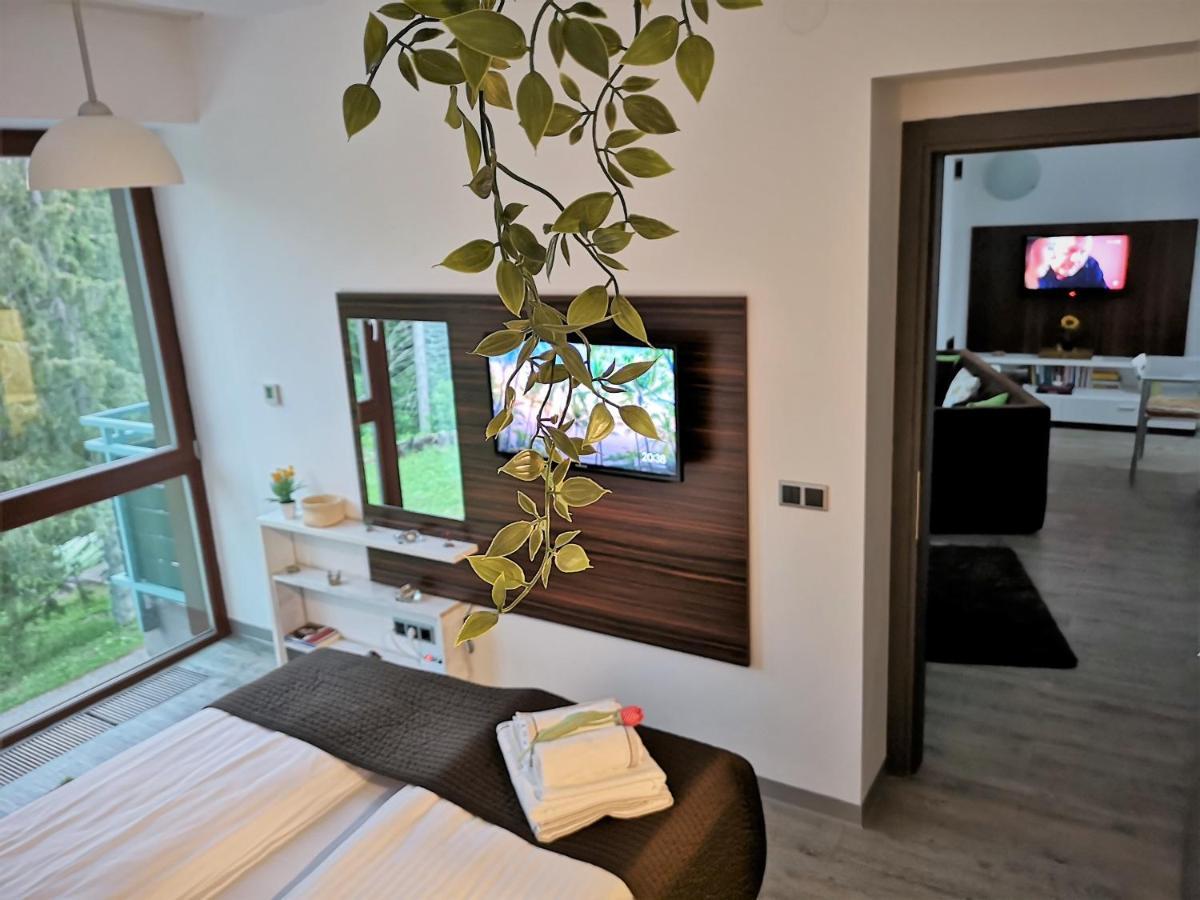 The Evergreen Nest - Silver Mountain Poiana Brasov Ngoại thất bức ảnh